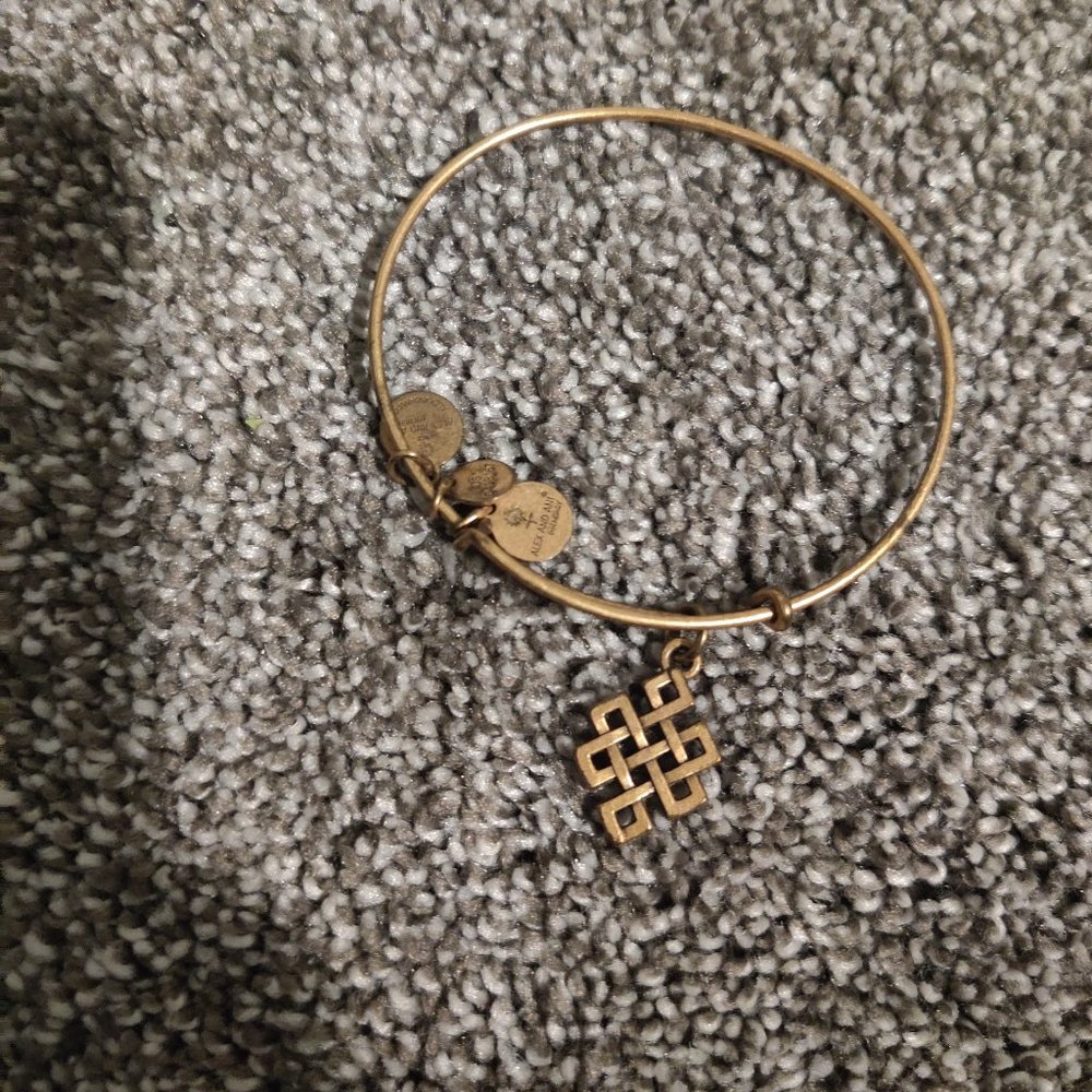 Alex and Ani Celtic charm bracelet